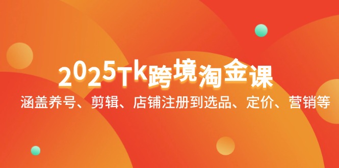 （14638期）2025Tk跨境淘金课：涵盖养号、剪辑、店铺注册到选品、定价、营销等-辰风资源站