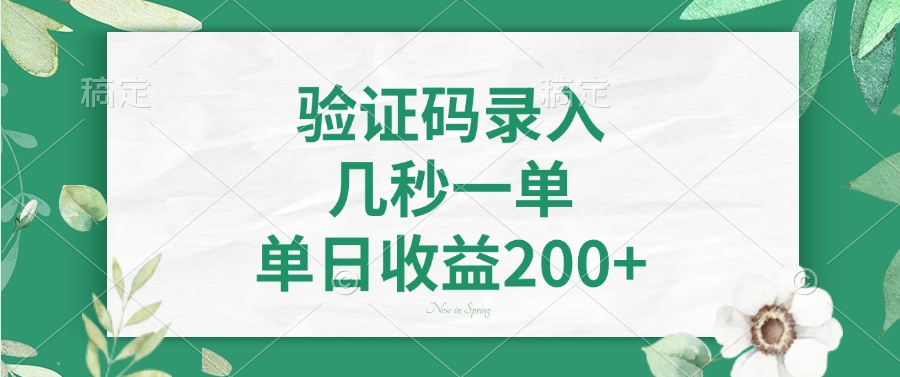 （14221期）验证码录入，几秒一单，单日收益200+-慕云辰风博客