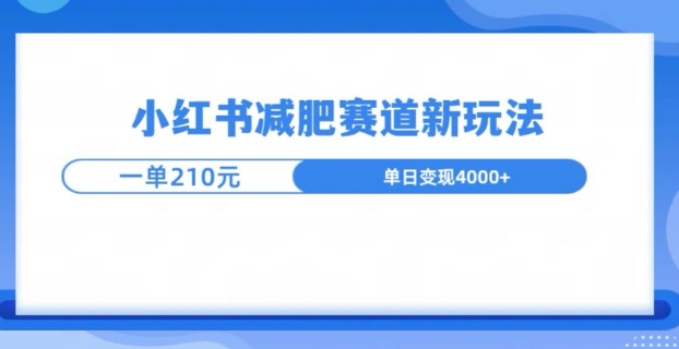 小红书减肥赛道新玩法，引流私域变现嘎嘎猛-辰风资源站