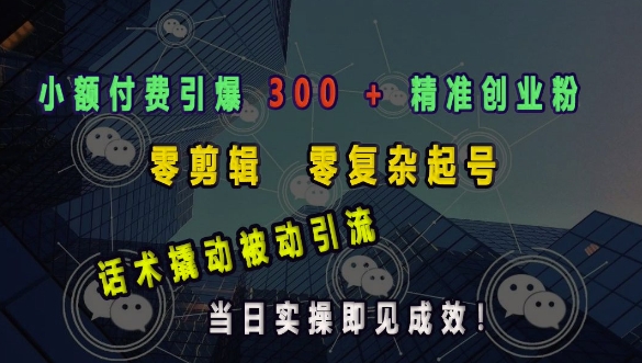 小额付费引爆 300 + 精准创业粉，零剪辑、零复杂起号，话术撬动被动引流，当日实操即见成效-慕云辰风博客