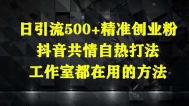 日引流500+精准创业粉，抖音共情自热打法，工作室都在用的方法-辰风资源站