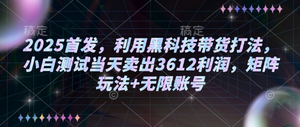 2025首发，利用黑科技带货打法，小白测试当天卖出3612利润，矩阵玩法+无限账号【揭秘】-慕云辰风博客