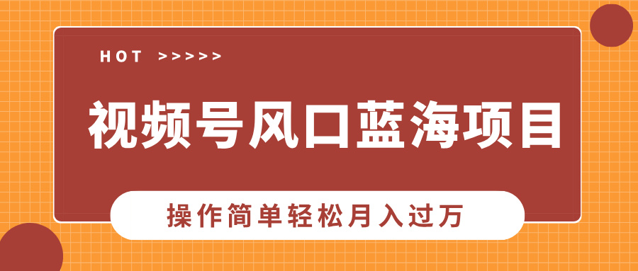 （13945期）视频号风口蓝海项目，中老年人的流量密码，操作简单轻松月入过万-慕云辰风博客