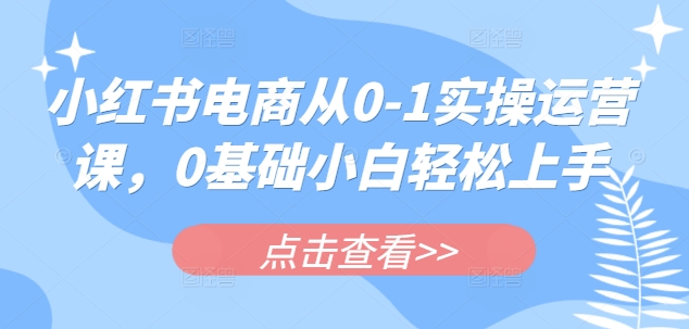 小红书电商从0-1实操运营课，0基础小白轻松上手-辰风资源站