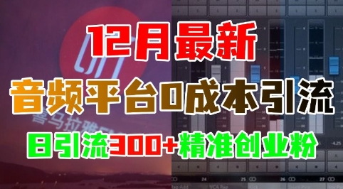 12月最新：音频平台0成本引流，日引流300+精准创业粉-慕云辰风博客