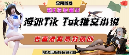 海外tiktok小说推文暴力项目，高停留率，高转化率，上手后一天搞顿饭钱不是问题-辰风资源站