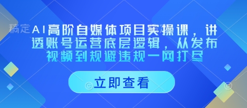 AI高阶自媒体项目实操课，讲透账号运营底层逻辑，从发布视频到规避违规一网打尽-辰风资源站