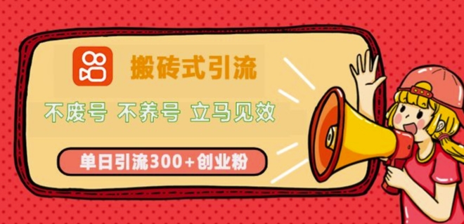 快手搬砖式引流，不废号，不养号，立马见效，单日引流300+精准创业粉-辰风资源站