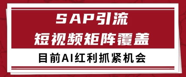 小红书某音sap赛道引流获客 自热矩阵日引200+【揭秘】-辰风资源站