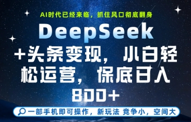 DeepSeek+头条变现，保姆级教学，小白轻松上手，日入8张+【揭秘】-辰风资源站