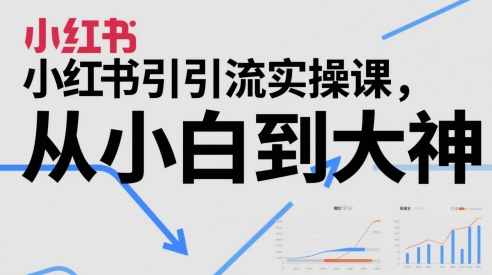小红书引流实操课，从小白到大神-辰风资源站