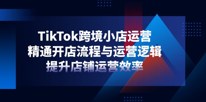 （14369期）TikTok跨境小店运营，精通开店流程与运营逻辑，提升店铺运营效率-辰风资源站