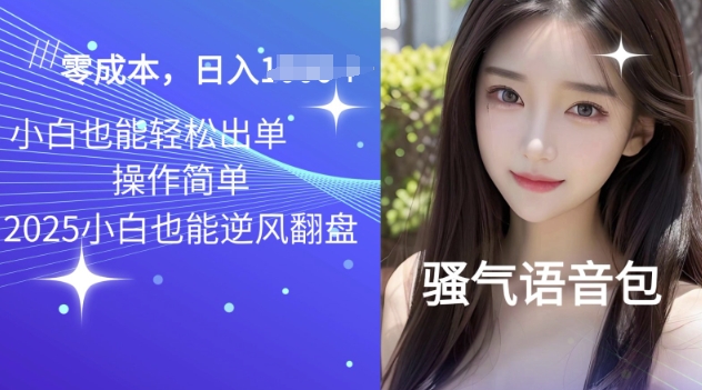 2025骚气导航语音包项目，零基础小白单日变现多张-辰风资源站