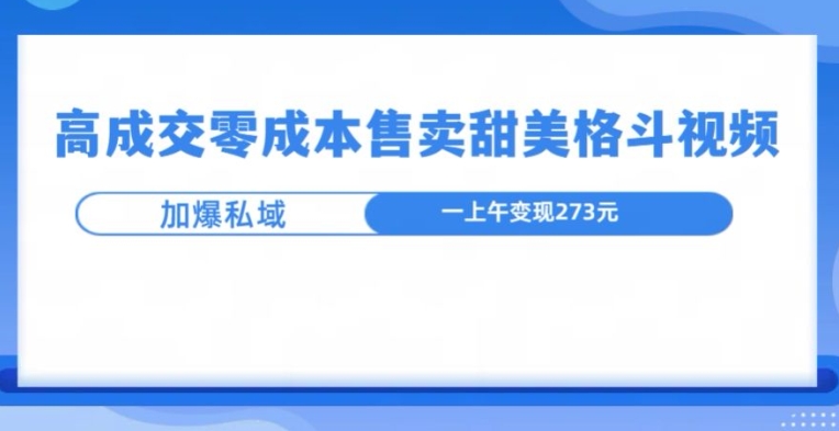 高成交零成本，售卖甜妹格斗视频，可以实现日入过k-慕云辰风博客