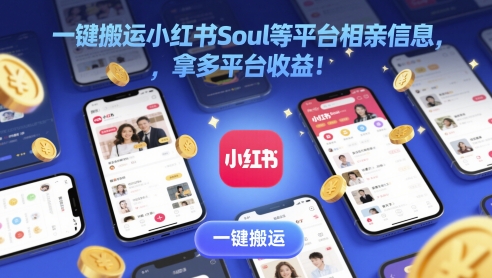 一键搬运小红书Soul等平台相亲信息，拿多平台收益!-辰风资源站