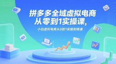 拼多多全域虚拟电商从零到1实操课，小白虚拟电商从0到1实操到精通-辰风资源站