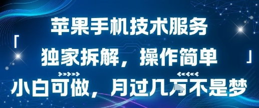苹果手机技术服务，独家拆解，操作简单，小白可做，月过1W不是梦-辰风资源站