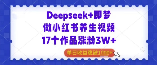 Deepseek+即梦做小红书养生视频17个作品涨粉3W+单日收益几张-辰风资源站