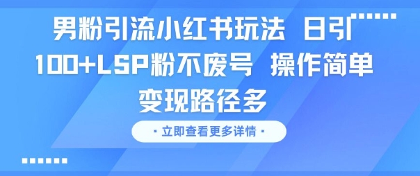 男粉引流小红书玩法，日引100+LSP粉不废号，操作简单，变现路径多-辰风资源站