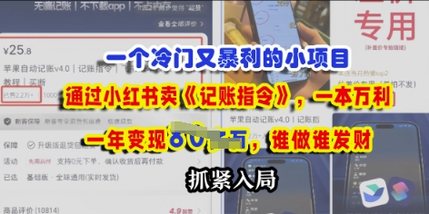 一个冷门需求，通过小红书卖《记账指令》，一本万利，谁做谁发，抓紧入局-辰风资源站