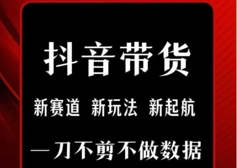 抖音短视频一刀不剪带货，不剪辑，不直播，每天发个视频，等着出单获取带货佣金-辰风资源站