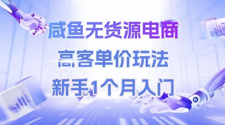 咸鱼无货源电商，高客单价玩法，新手1个月入门-辰风资源站