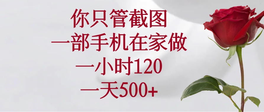 （14248期）你只管截图，一部手机在家做，一小时120，一天500+-慕云辰风博客