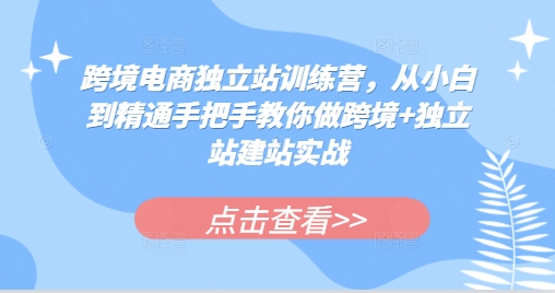 跨境电商独立站训练营，从小白到精通手把手教你做跨境+独立站建站实战-慕云辰风博客