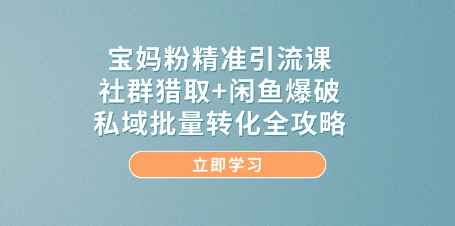 （14820期）宝妈粉精准引流课，社群猎取+闲鱼爆破，私域批量转化全攻略-辰风资源站