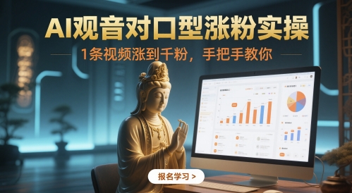 AI观音对口型涨粉实操，1条视频涨到千粉，手把手教你-辰风资源站
