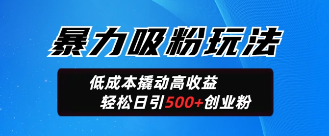 暴力吸粉玩法，日引500+精准创业粉，日变现轻松多张-慕云辰风博客