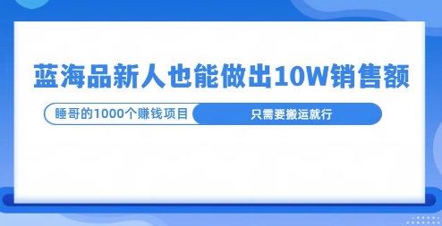 这个蓝海品，新号也能卖出10W的销售额，年底疯狂怼量就能出结果-慕云辰风博客