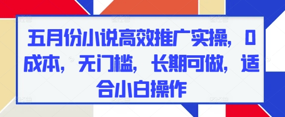 五月份小说高效推广实操，0成本，无门槛，长期可做，适合小白操作-辰风资源站