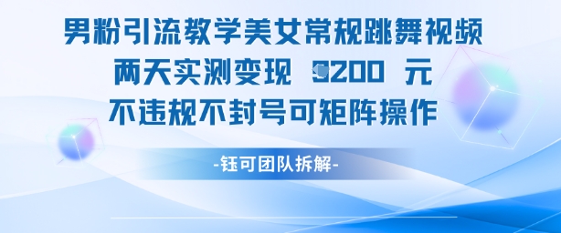 男粉引流教学美女常规跳舞视频两天实测变现1k+，不违规不封号可矩阵操作-辰风资源站