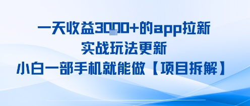 一天收益1k+的app拉新，实战玩法更新，小白一部手机就能做【项目拆解】-辰风资源站