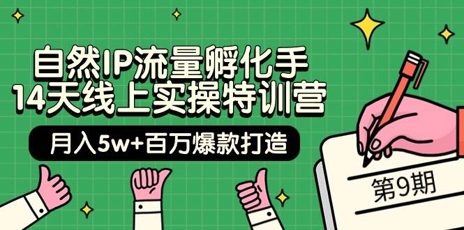 自然IP流量孵化手 14天线上实操特训营【第9期】月入5w+百万爆款打造 (74节)-慕云辰风博客