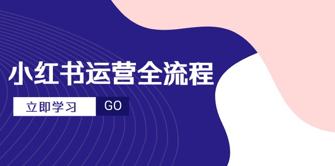 （14861期）小红书运营全流程，爆款选题文案，视频制作技巧，进阶达人宝典-辰风资源站
