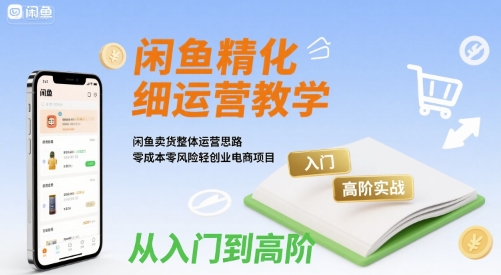 闲鱼精细化运营入门+高阶实战教学，闲鱼卖货整体运营思路，零成本零风险轻创业电商项目-辰风资源站