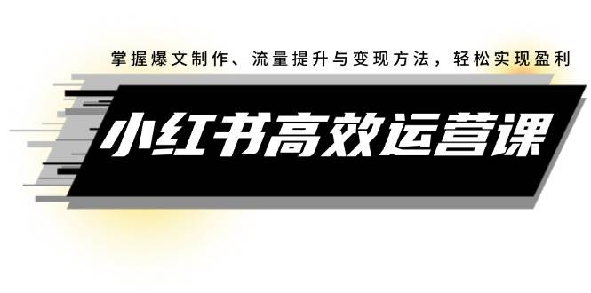 小红书高效运营课：掌握爆文制作、流量提升与变现方法，轻松实现盈利-慕云辰风博客