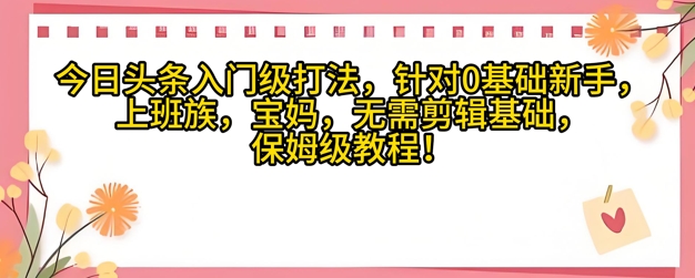 今日头条入门级打法，针对宝妈，上班族，0基础新手的保姆级课程-辰风资源站