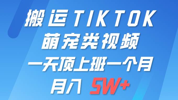 一键搬运TIKTOK萌宠类视频 一部手机即可操作 所有平台均可发布 轻松月入5W+-慕云辰风博客