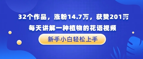 32个作品，涨粉14.7W，获赞201W，每天讲解一种植物的花语视频，无需任何技巧，新手小白轻松上手-辰风资源站