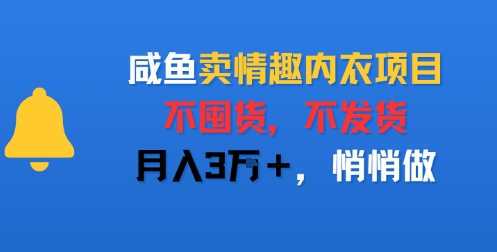 咸鱼卖情趣内衣项目，不囤货，不发货，月入3W+，悄悄做-辰风资源站