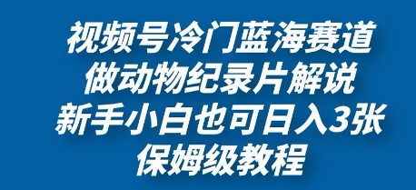 视频号冷门蓝海赛道，做动物纪录片解说，新手小白也日入3张，保姆级教程-辰风资源站