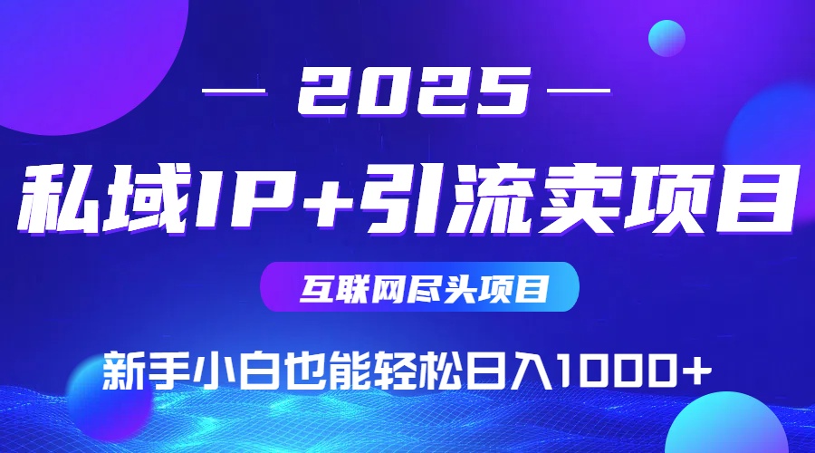 （14613期）私域IP+卖项目，普通人小白也能轻松实现日入1000+-辰风资源站