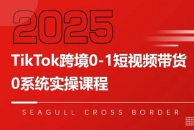 TikTok跨境0-1短视频带货，系统拆解TikTok跨境带货全链路，实现跨境可持续盈利-辰风资源站
