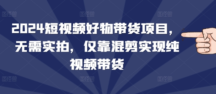 2024短视频好物带货项目，无需实拍，仅靠混剪实现纯视频带货-辰风资源站