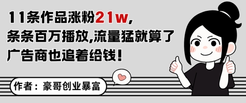 11条作品涨粉21W，条条百W播放，流量猛就算了，广告商也追着给钱-辰风资源站