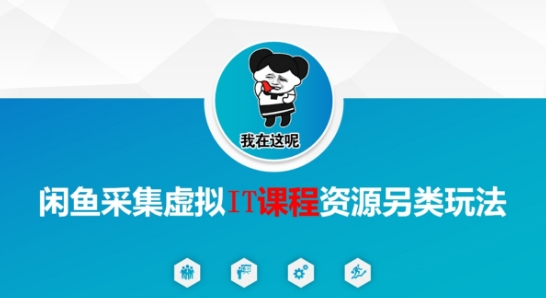 闲鱼采集虚拟IT课程资源另类玩法，干货满满-辰风资源站