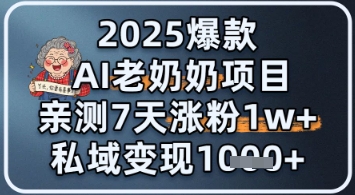 2025爆款 AI 老奶奶项目：亲测 7 天涨粉 1W+，私域变现 1k+-辰风资源站